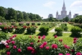 Ботанический сад МГУ - вид 2